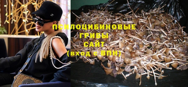 ПСИЛОЦИБИНОВЫЕ ГРИБЫ Киреевск