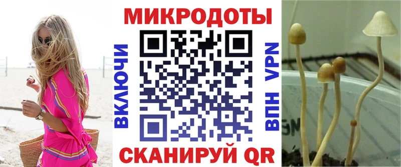 Купить закладки Сальск Галлюциногенные грибы ЛСД